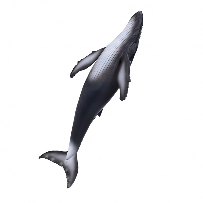 Realistic Humpback Whale Figurine