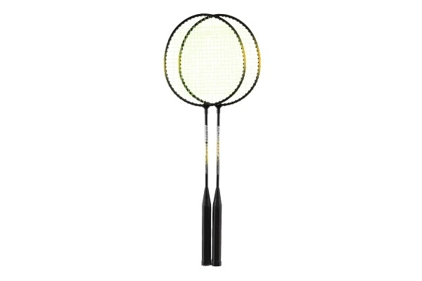 Badminton Set in Bag