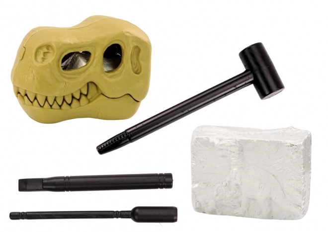 Dinosaur Archaeological Excavation Set with Fossils and Skull