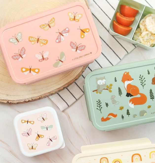 A Lovely Butterfly Lunch Box