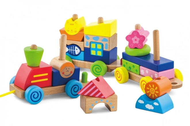 Wooden Train Pull Toy and Puzzle