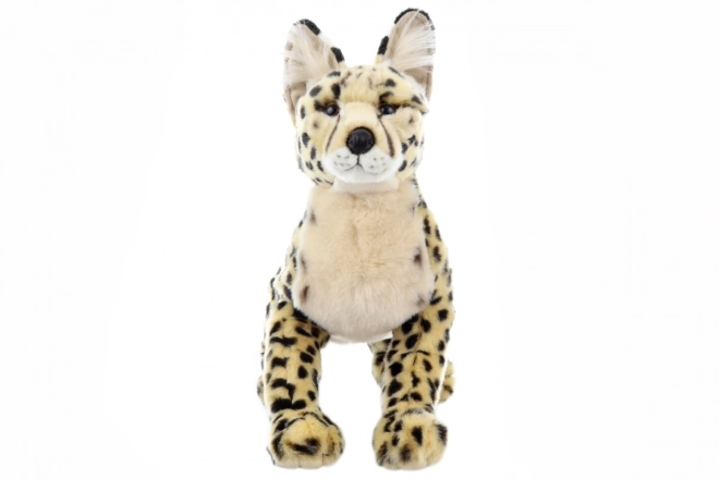 Plush Savannah Cat