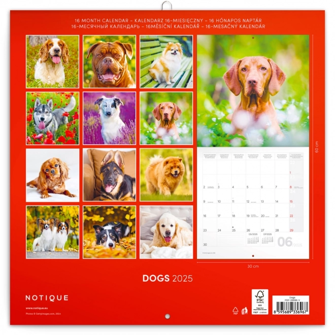 Notique Dog Calendar 2025