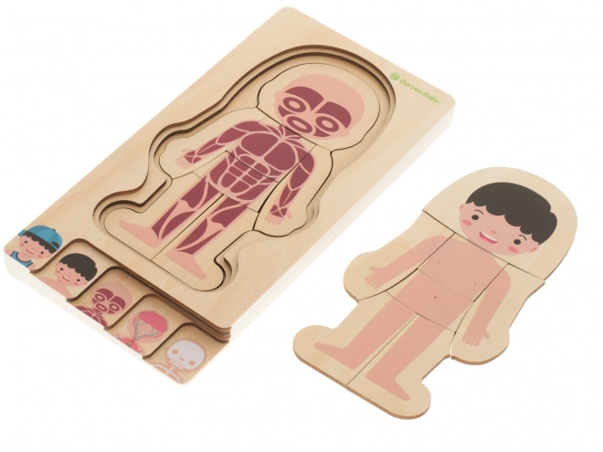 Wooden Layered Human Body Puzzle Montessori Boy