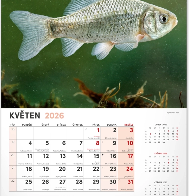 Calendrier mural de pêche 2026