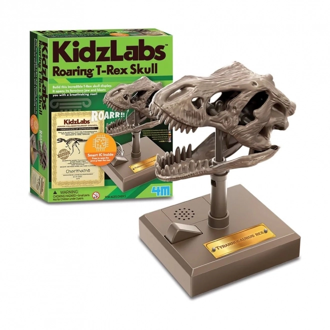 Educational Set Roaring T-Rex Skull