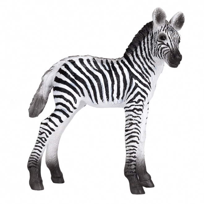 Mojo Zebra Foal