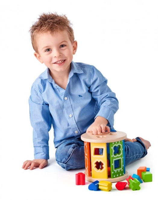 Shape and Color Sorter Rainbow Roller