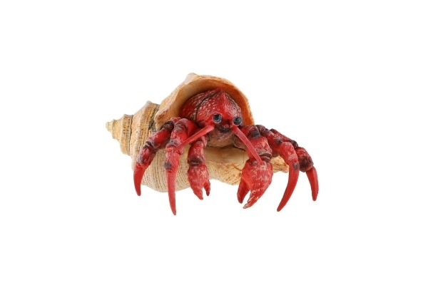 Hermit Crab Toy in Plastic 7cm