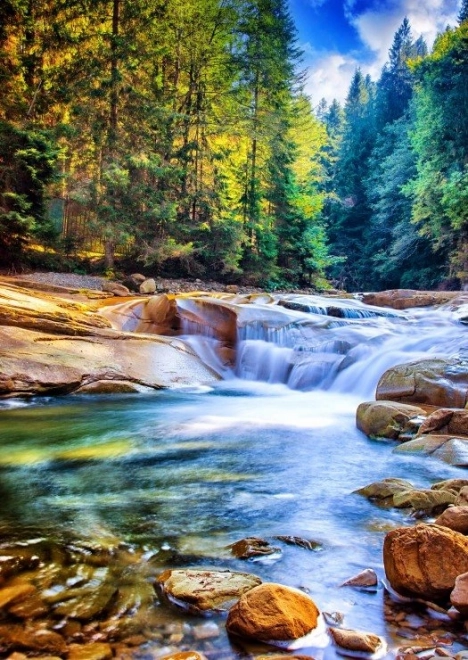 Beautiful Waterfall in the Forest Puzzle 2000 Pieces