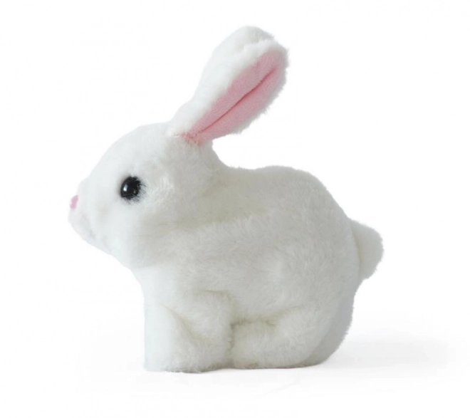 Battery Operated Bunny Toy