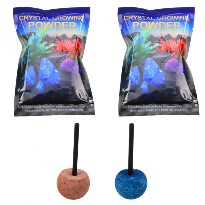 Educational Set Magic Crystal Tree