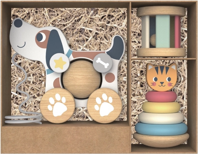 Gift Set for the Little Ones 3 in 1
