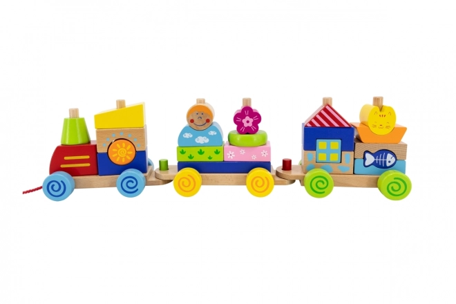 Wooden Train Pull Toy and Puzzle