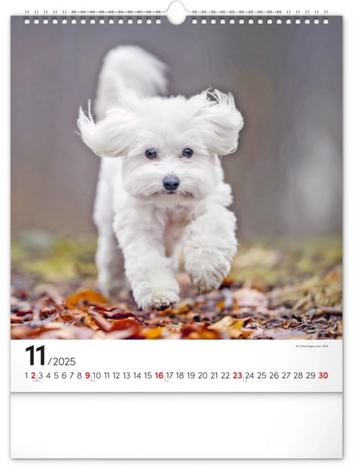 Notique Wall Calendar Dogs 2025