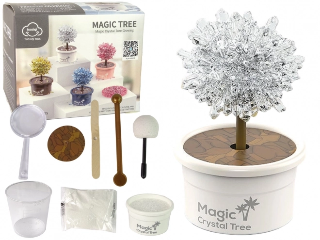 Magic Crystal Growing Kit