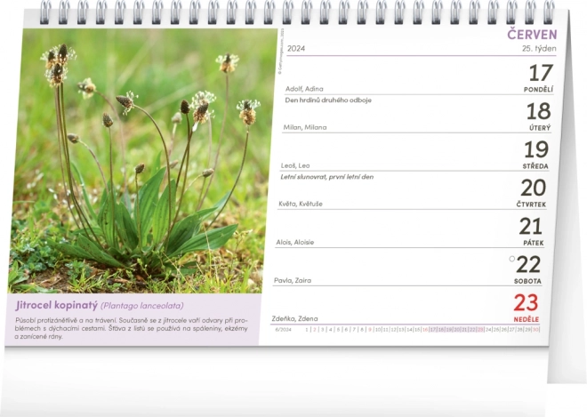 Desk Calendar Natural Apothecary 2024