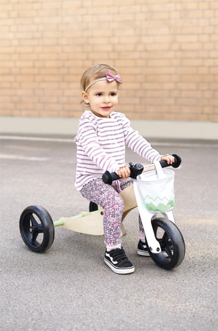 Tricycle Salvia Green Convertible Bike