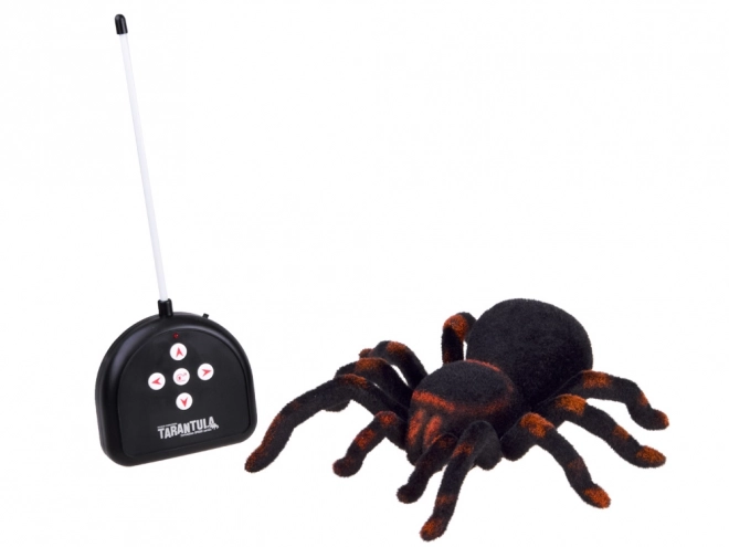 Remote Controlled Tarantula Spider