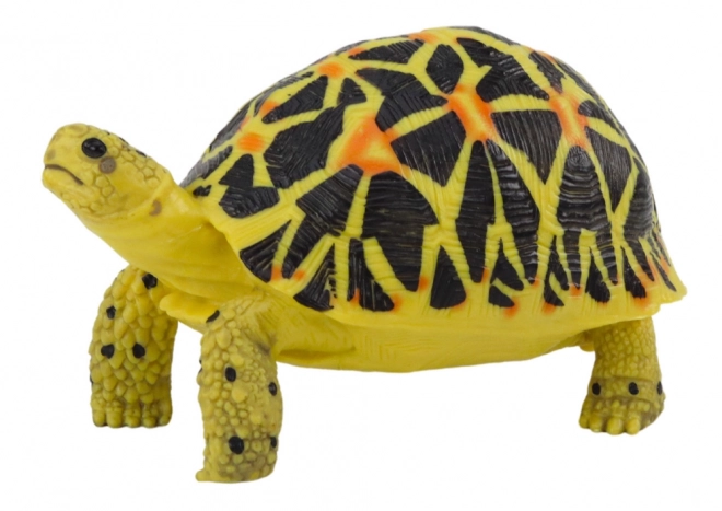 Turtle Collector's Figurine