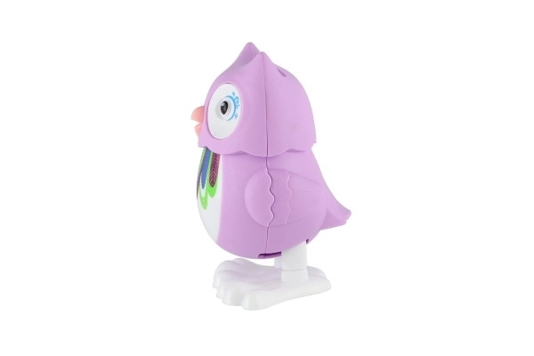 Colorful Wind-Up Owl Toy