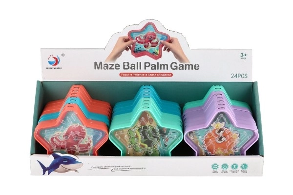 Star Maze Puzzle with Ball