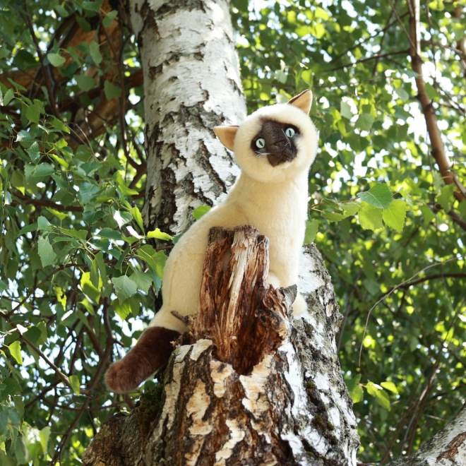 Eco-friendly plush siamese cat 30 cm