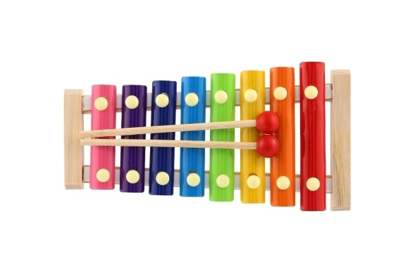 Colorful Wooden and Metal Xylophone with Mallets