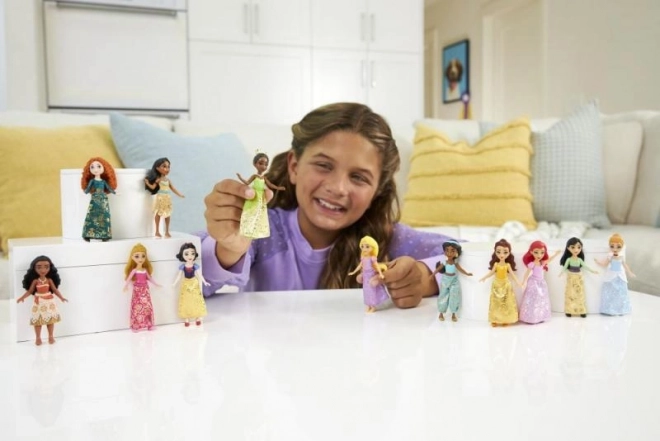 Disney Princess Small Dolls Collection