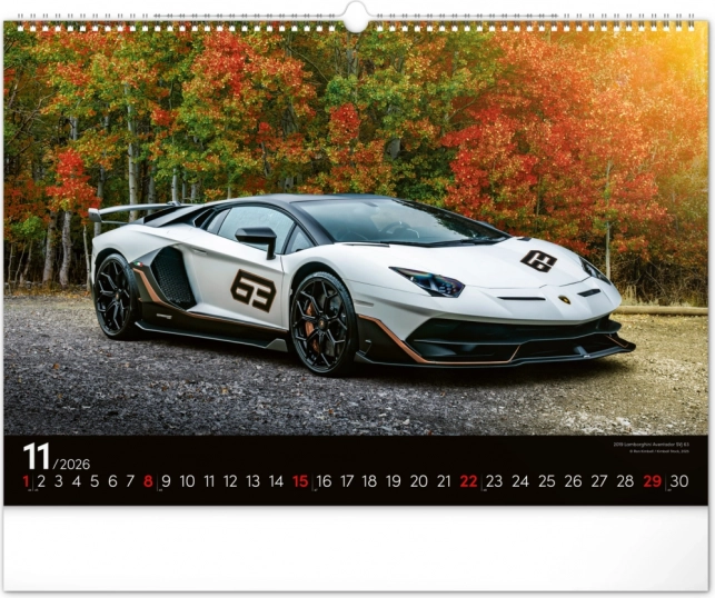 Wall Calendar Fast Cars 2026