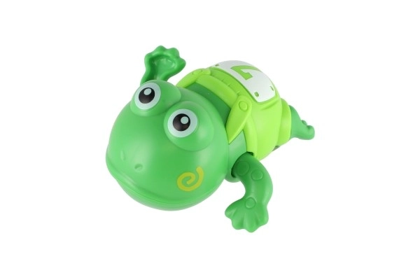 Pull-String Frog Bath Toy