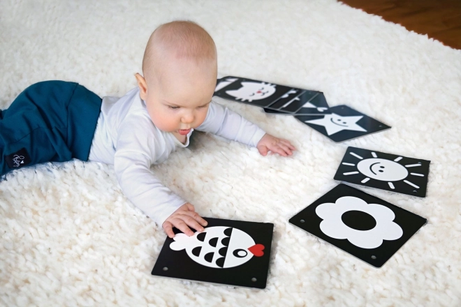 Large High-Contrast Cards for Babies