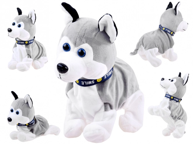 Interactive Husky Puppy