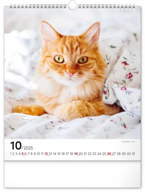 Wall Calendar Cats 2025