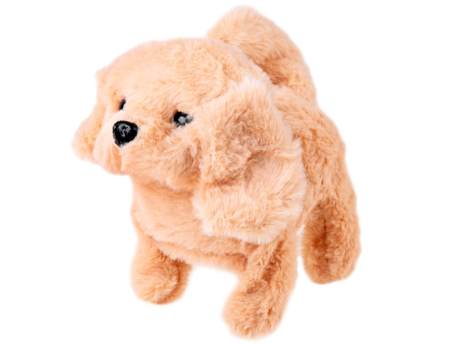 Dolce animaletto di peluche che reagisce