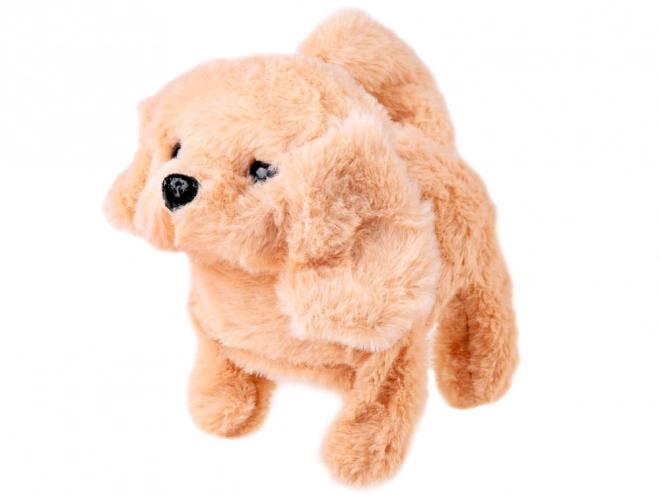 Interactive Plush Puppy with Spa Set