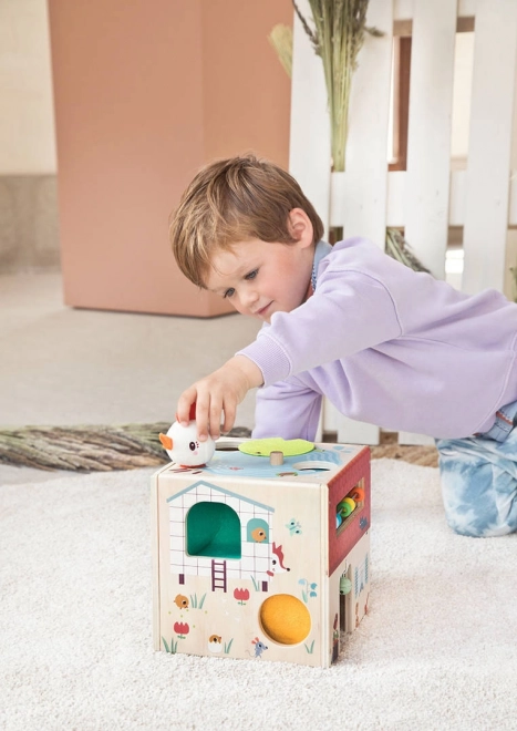 Activity Cube with Paulette the Hen