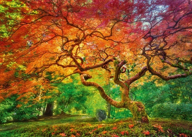 Cherry Pazzi Tree Crown Puzzle 1000 Pieces