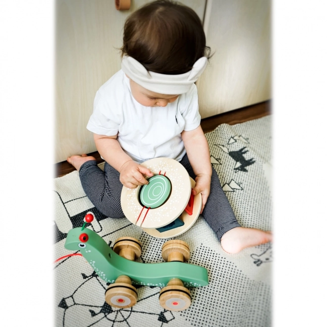 Montessori Pull-Along Snail with Shape Sorter