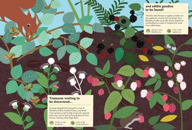 Nature Activity Sticker Book - In the Forest