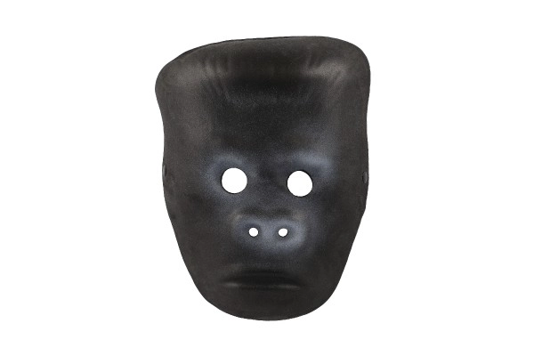 Animal Foam Mask Carnival Accessory