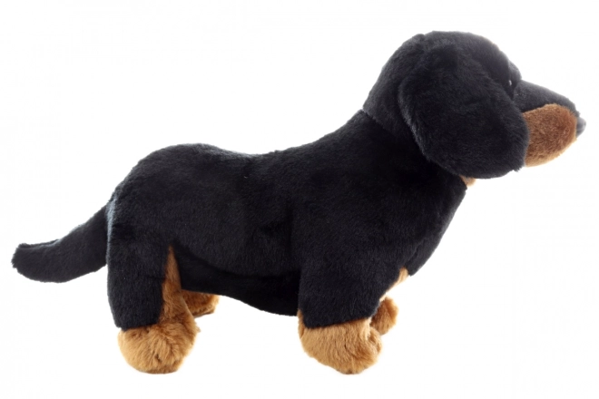 Eco-friendly Plush Dachshund