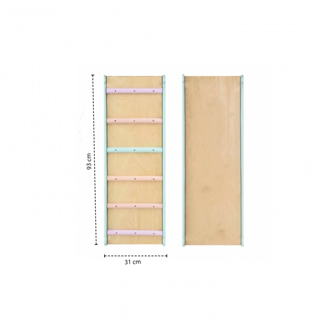 Montessori Pikler Ramp with Ladder