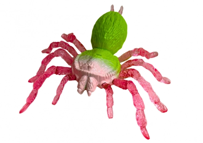 Stretchable Spider Toy in Green