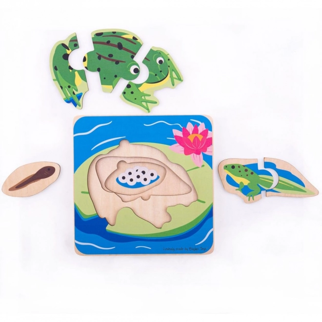 Bigjigs Toys Frog Life Cycle Layered Puzzle