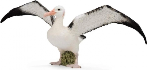 CollectA Albatros Spielzeugfigur