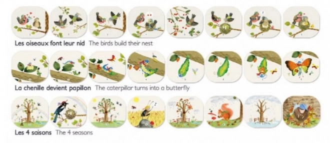 Set of Projector Stories Garden with Notebooks Moulin Roty