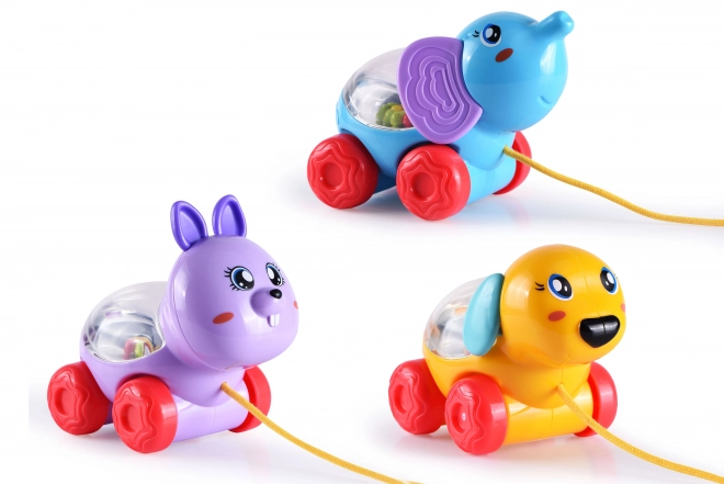 Pull-Along Animal Toy