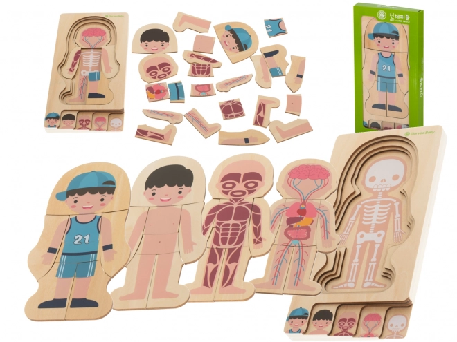 Wooden Layered Human Body Puzzle Montessori Boy