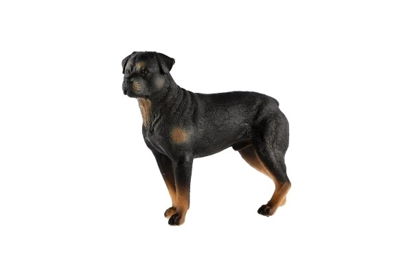 Rottweiler Toy Dog